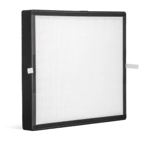 Alen A350 HEPA-Fresh Replacement Filter: BF25A-Fresh