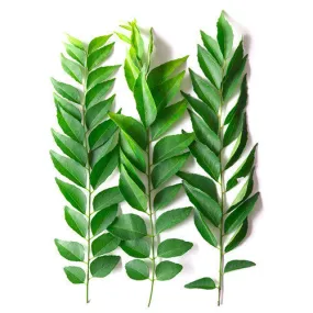 Fresh Herbs Curry Leaves Packet