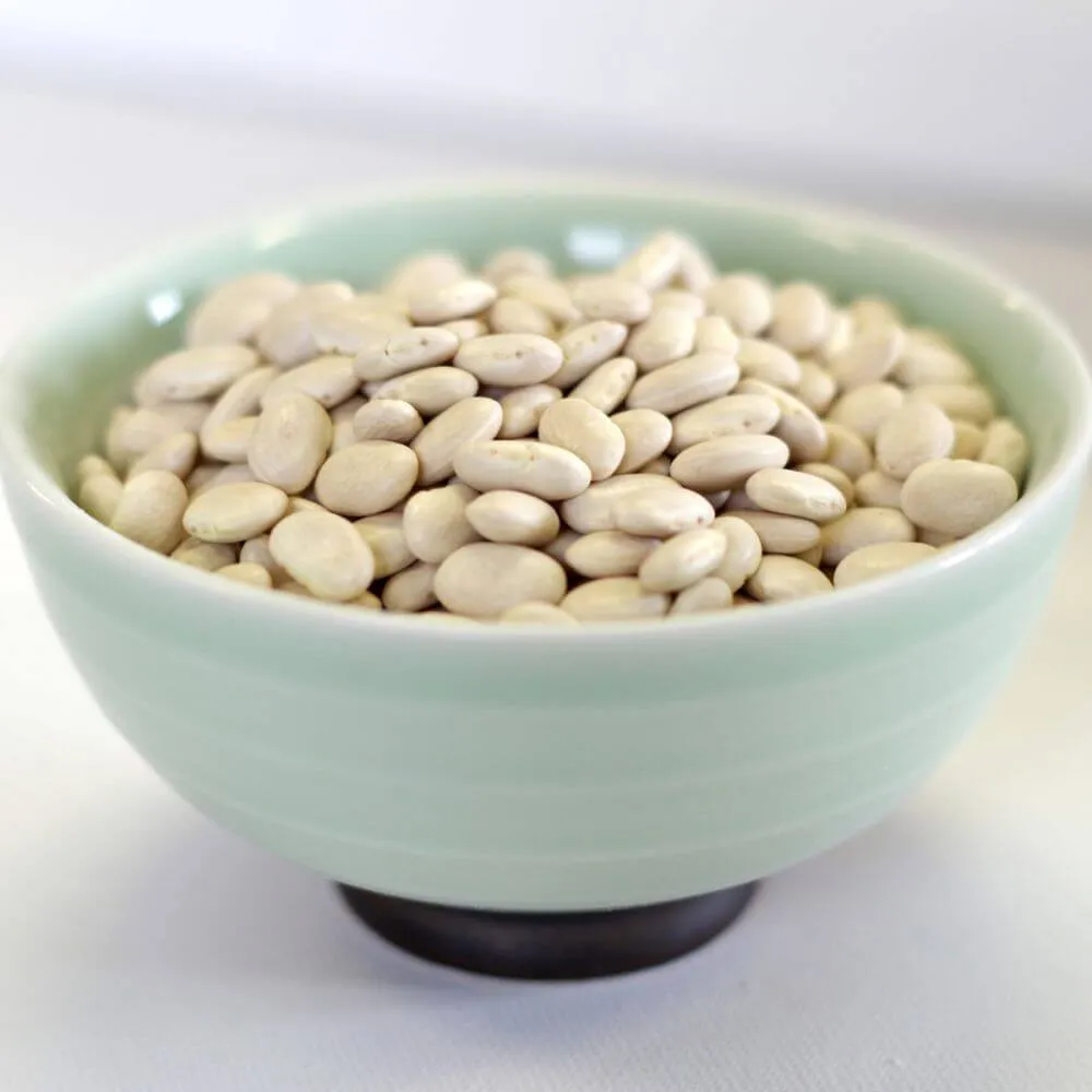 Rainy Day Foods Gluten-Free Great Northern Beans 6 (Case of Six) #10 Cans - 156 Servings