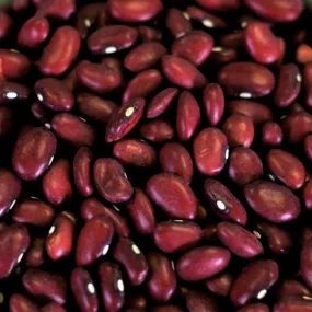 Rainy Day Foods Gluten-Free Small Red Beans 25 lbs Bag - 113 Servings