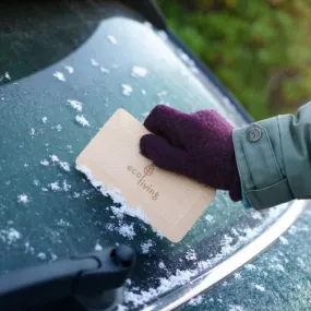 Wooden scraper - car window/pastry